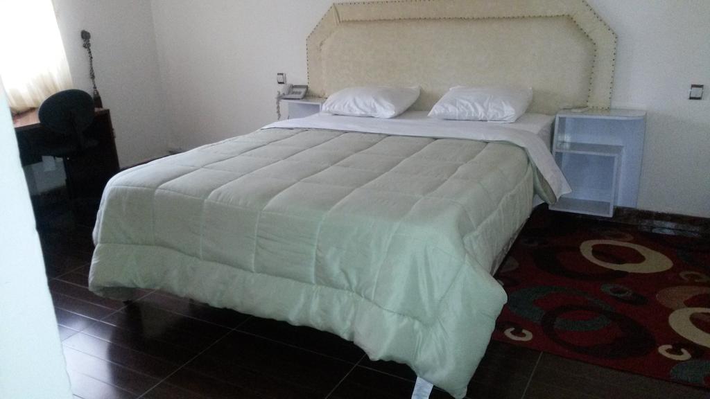 Zambezi Inn Hotel 科纳克里 客房 照片
